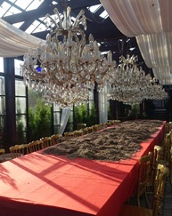 Tbilisi, Gardenia Shevadnadze