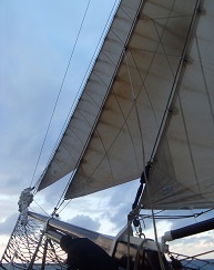 KielerWoche