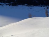 SDC11333.JPG