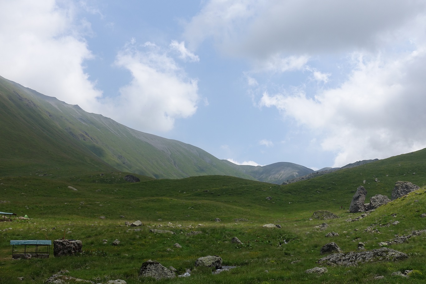 DSC02508