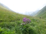DSC02496.JPG