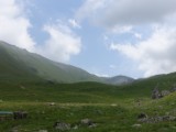 DSC02508.JPG