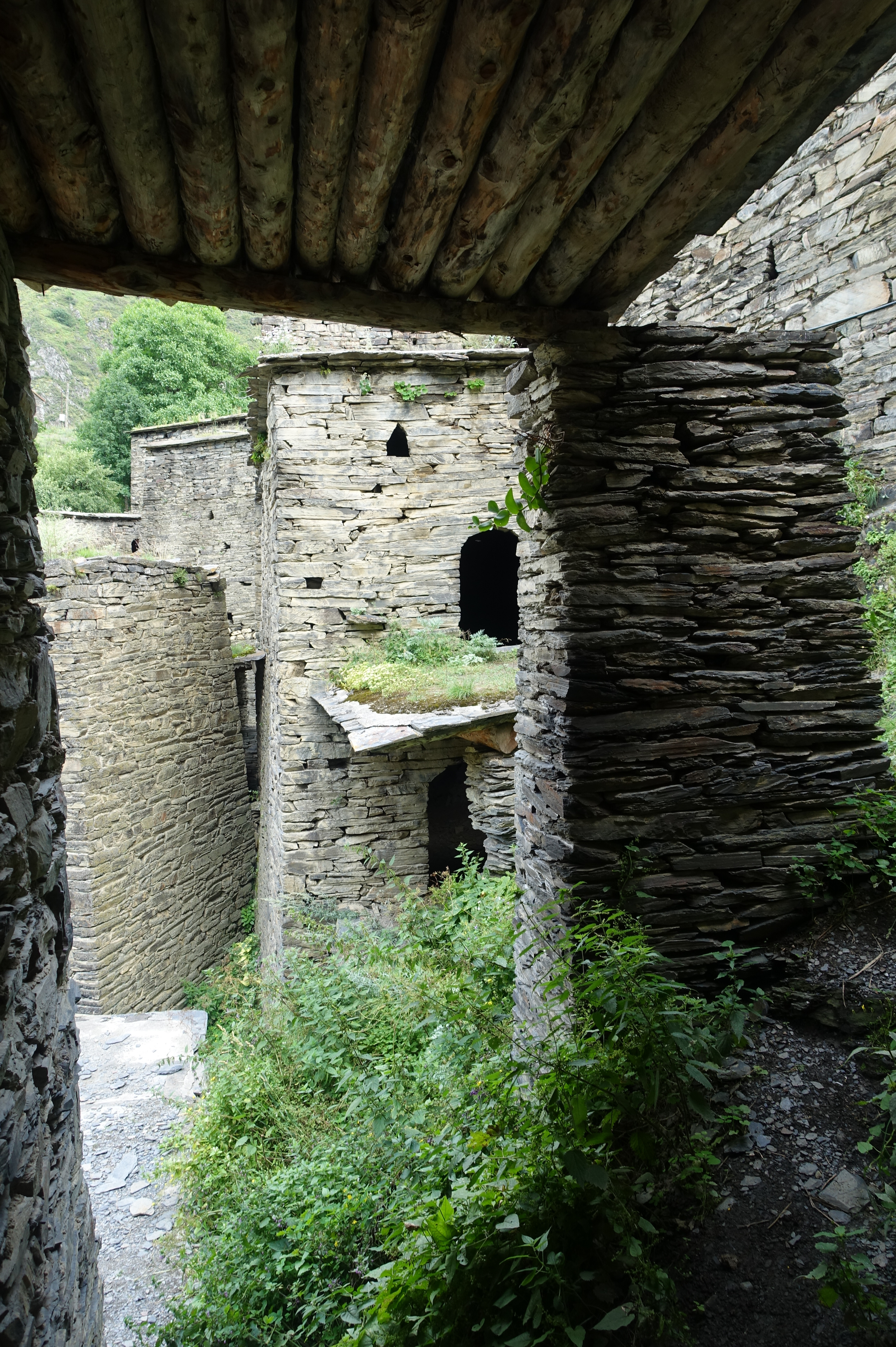 DSC02636