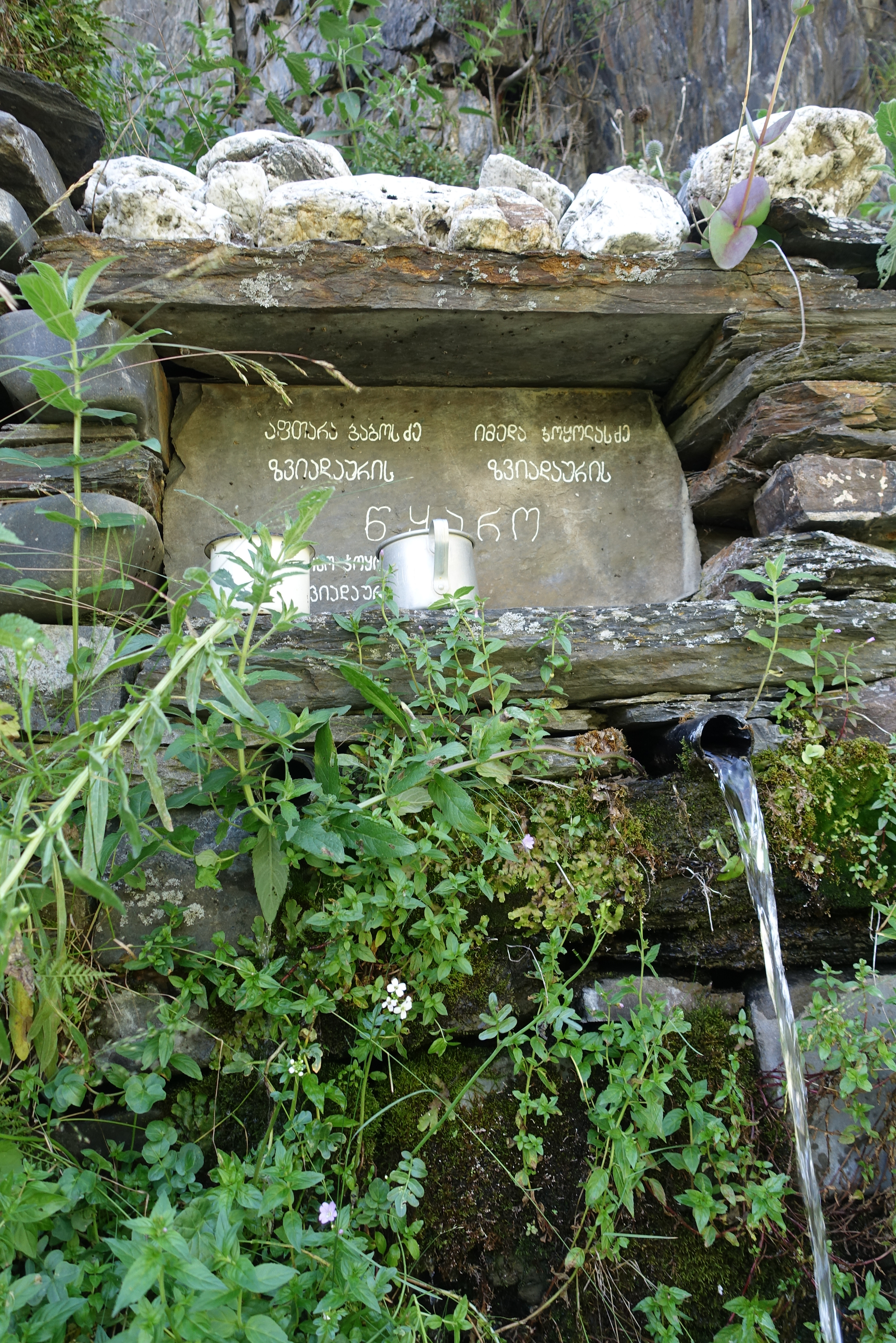 DSC02681