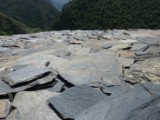 DSC02661.JPG