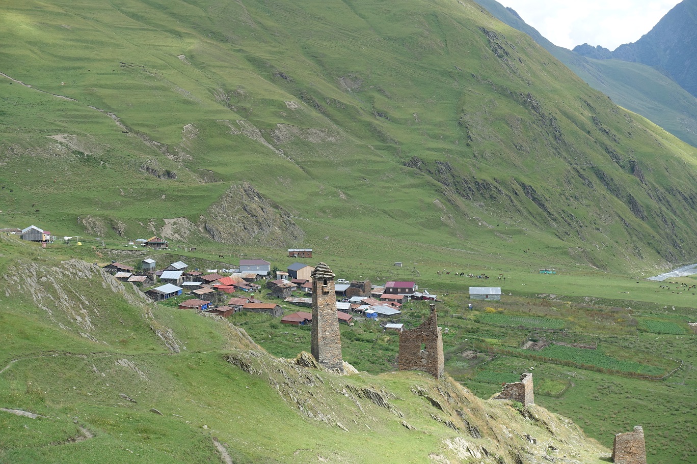 DSC02801