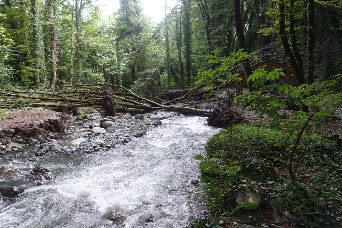 02_Lagodechi_02
