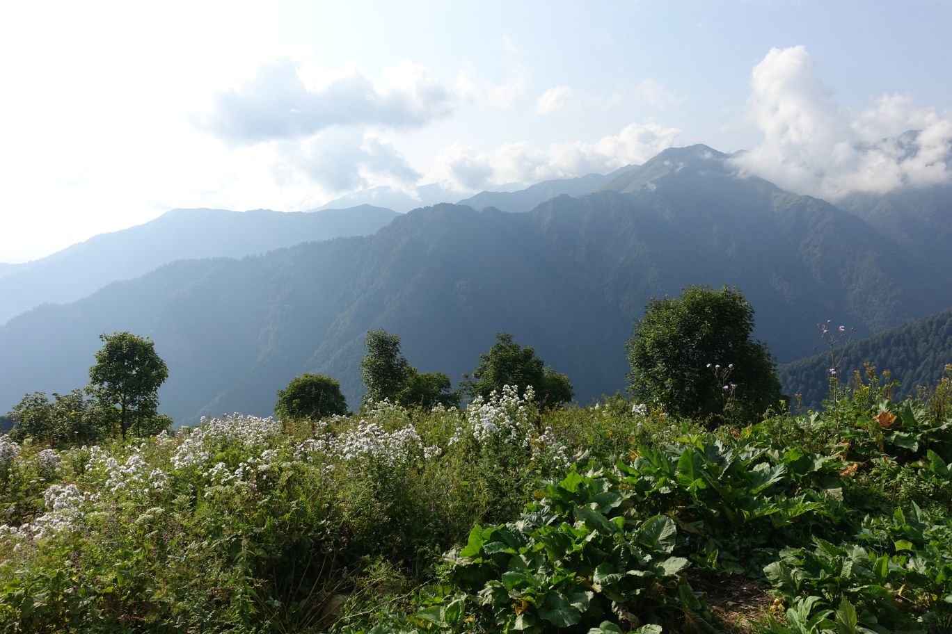 02_Lagodechi_04