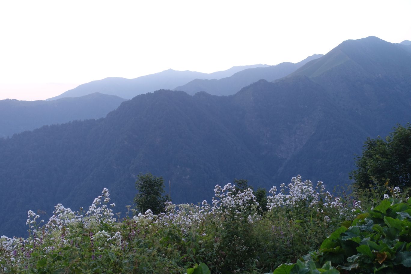 02_Lagodechi_07