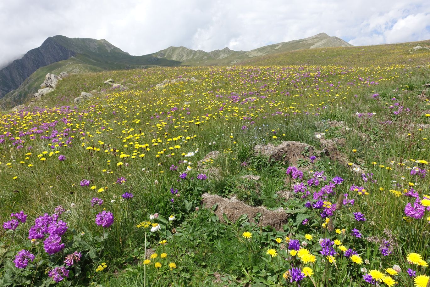 02_Lagodechi_21
