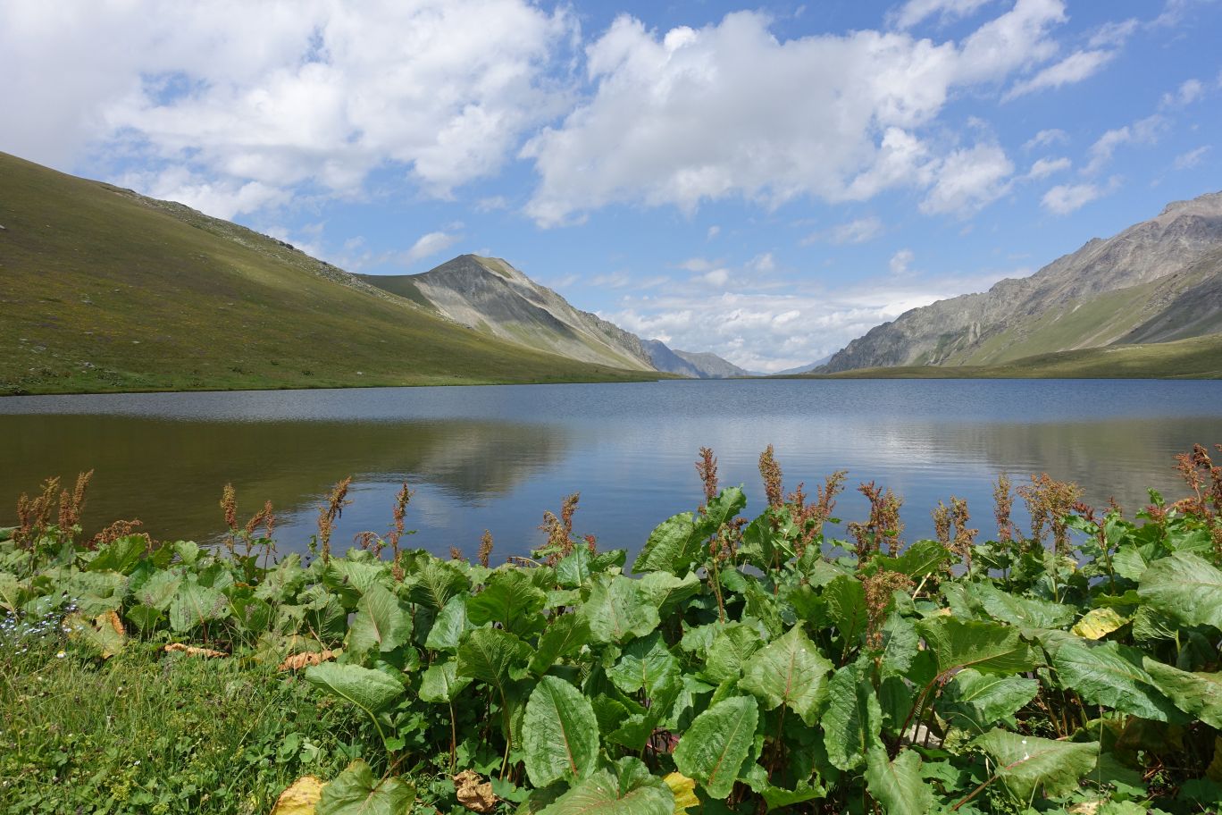 02_Lagodechi_23