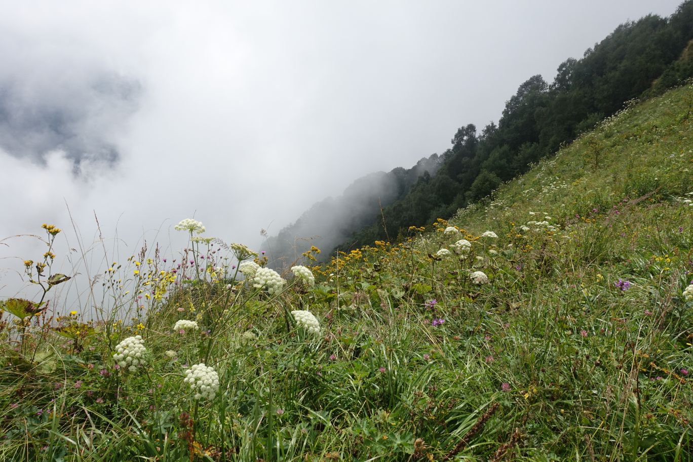 02_Lagodechi_26