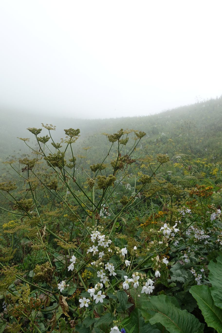 02_Lagodechi_27