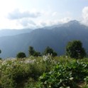 02_Lagodechi_04