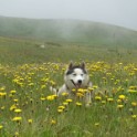 02_Lagodechi_08