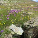 02_Lagodechi_20