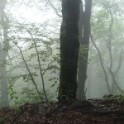 02_Lagodechi_28