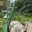 02_Lagodechi_35
