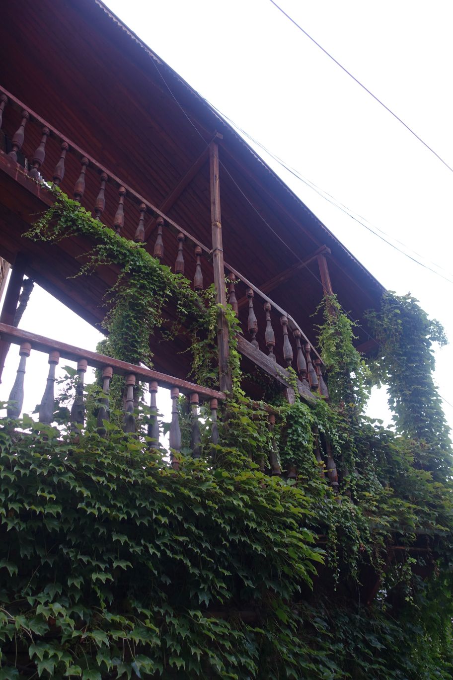 DSC10000 (43)