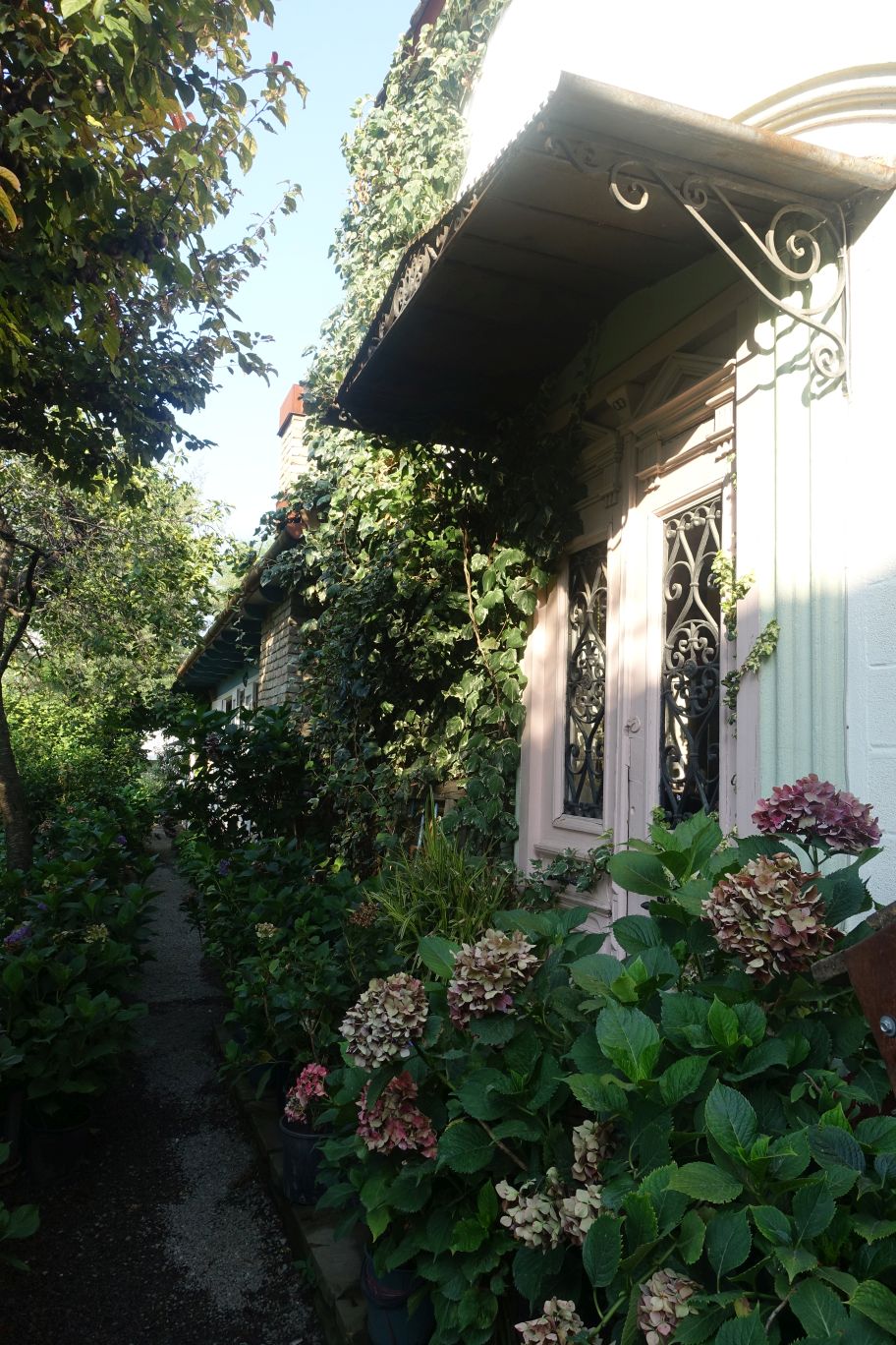 DSC09807