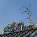 DSC09817