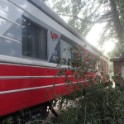 DSC10000 (151)