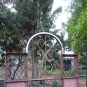 DSC10000 (152)