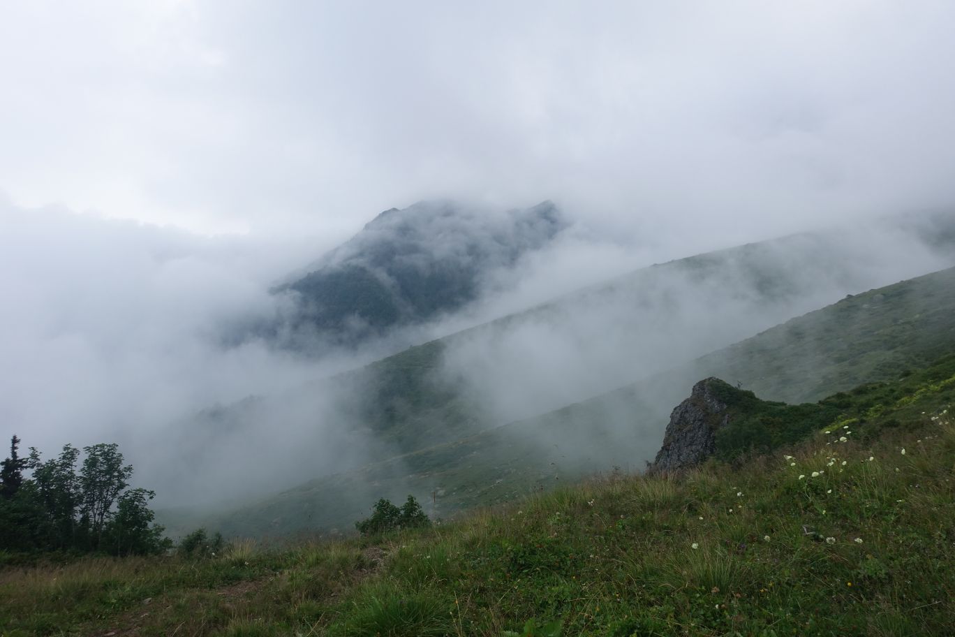DSC09861