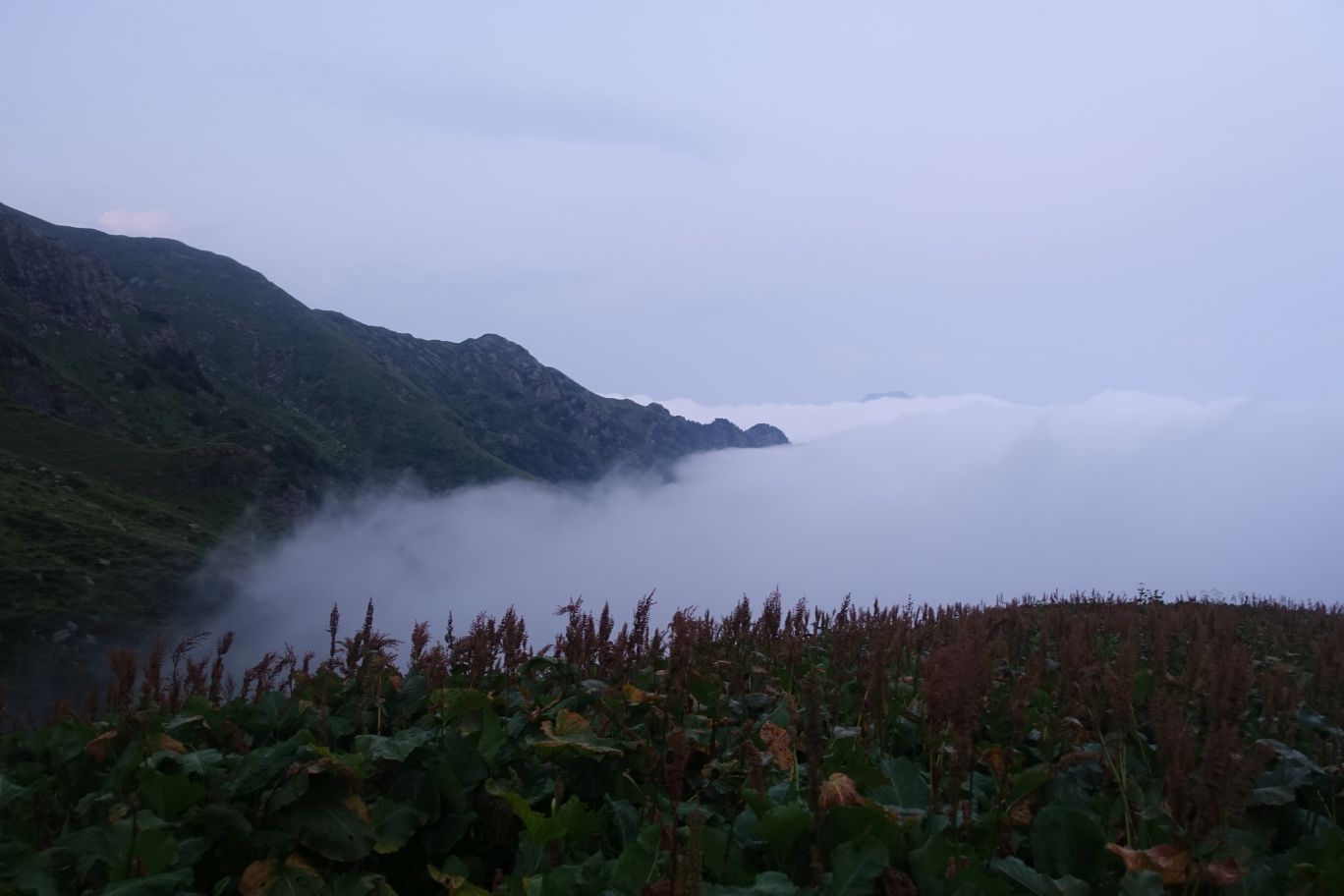 DSC09877