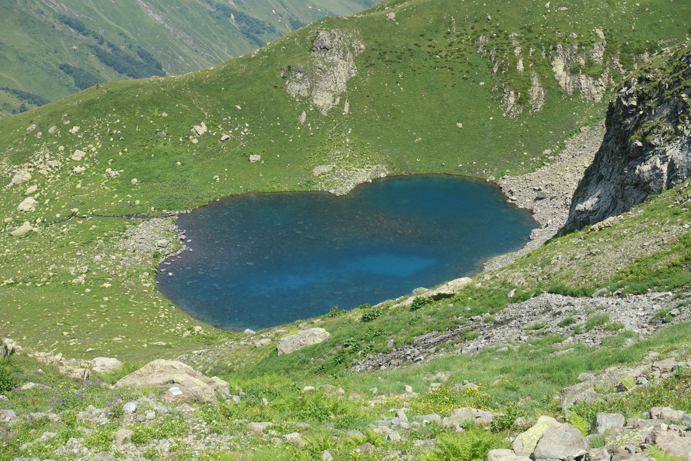 DSC09984