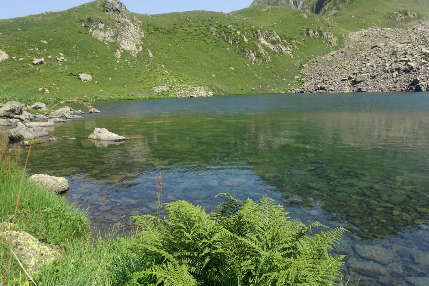 DSC09989