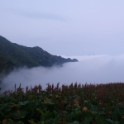 DSC09877