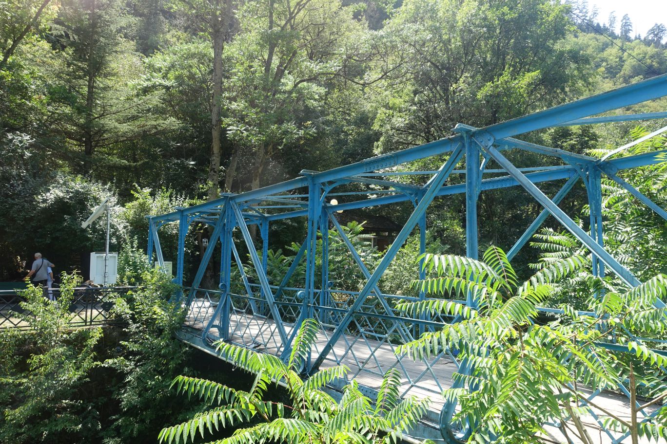 DSC10000 (52)