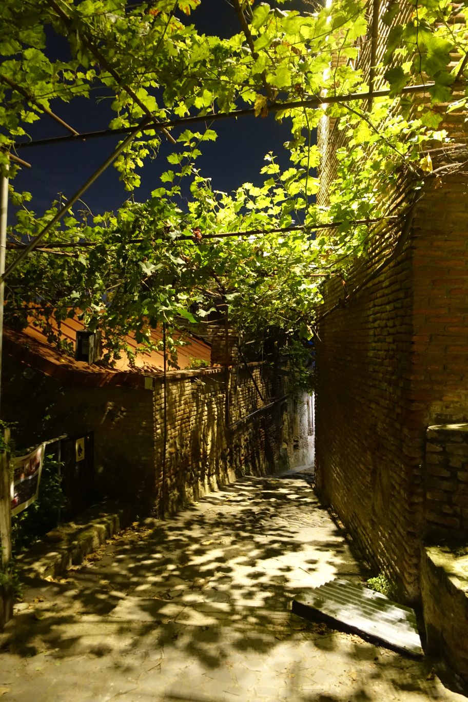 DSC01631
