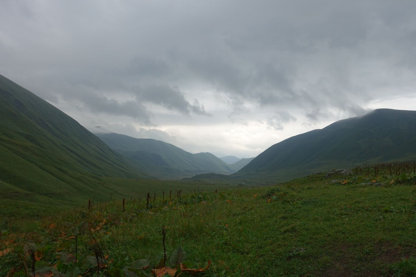 DSC01135