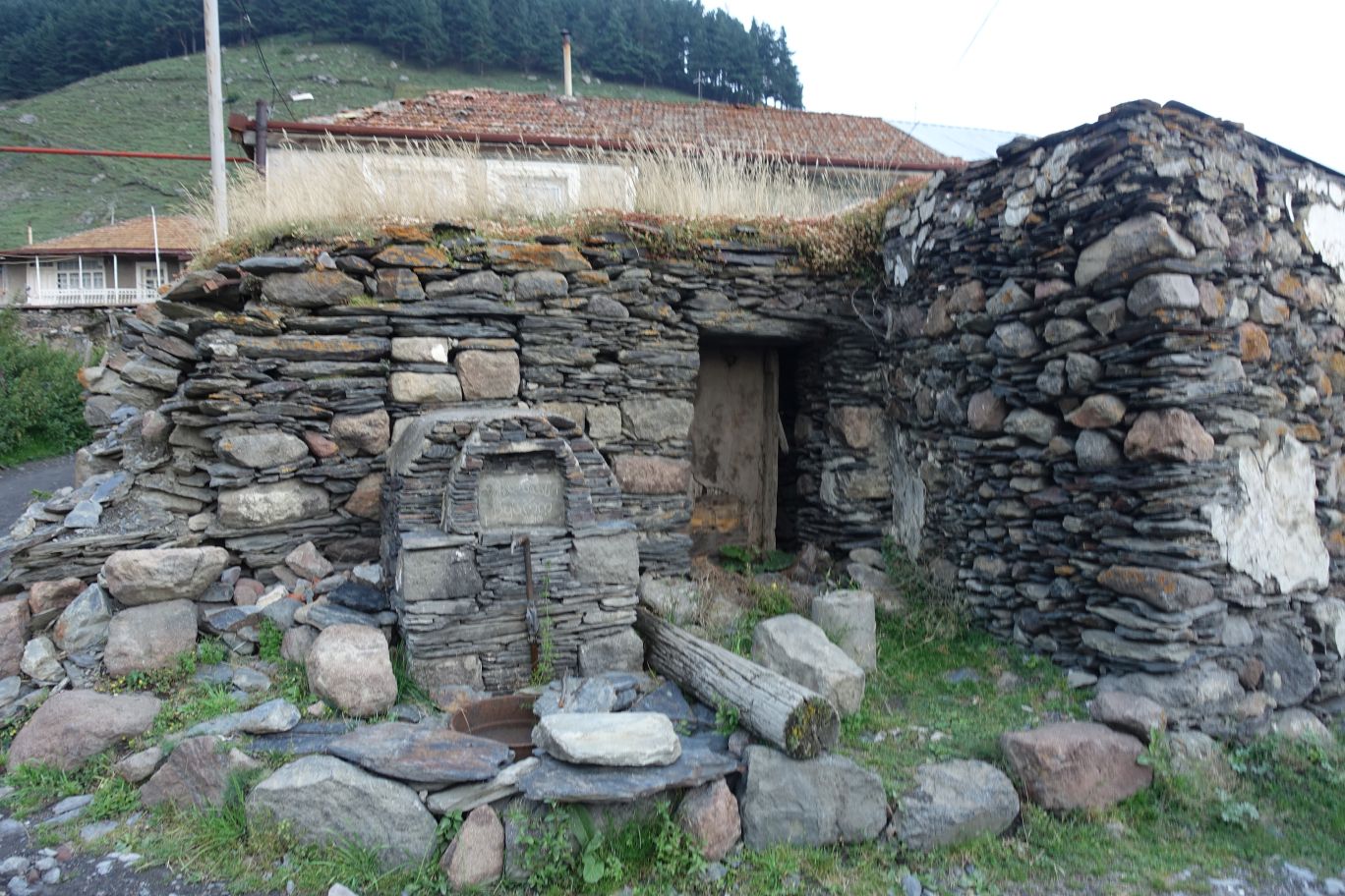 DSC01225