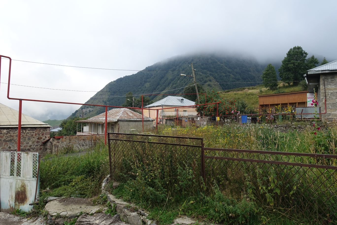 DSC01230