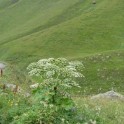 DSC01178