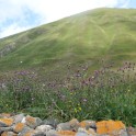 DSC01405