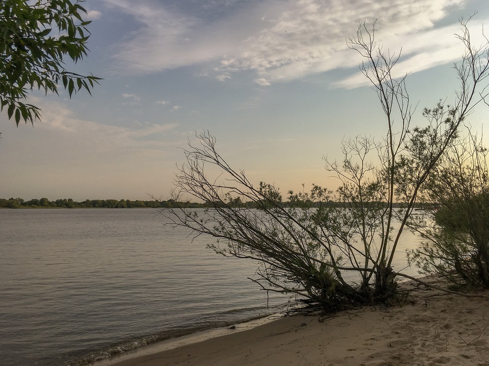 202006_Hamburg_AnDerElbe_3