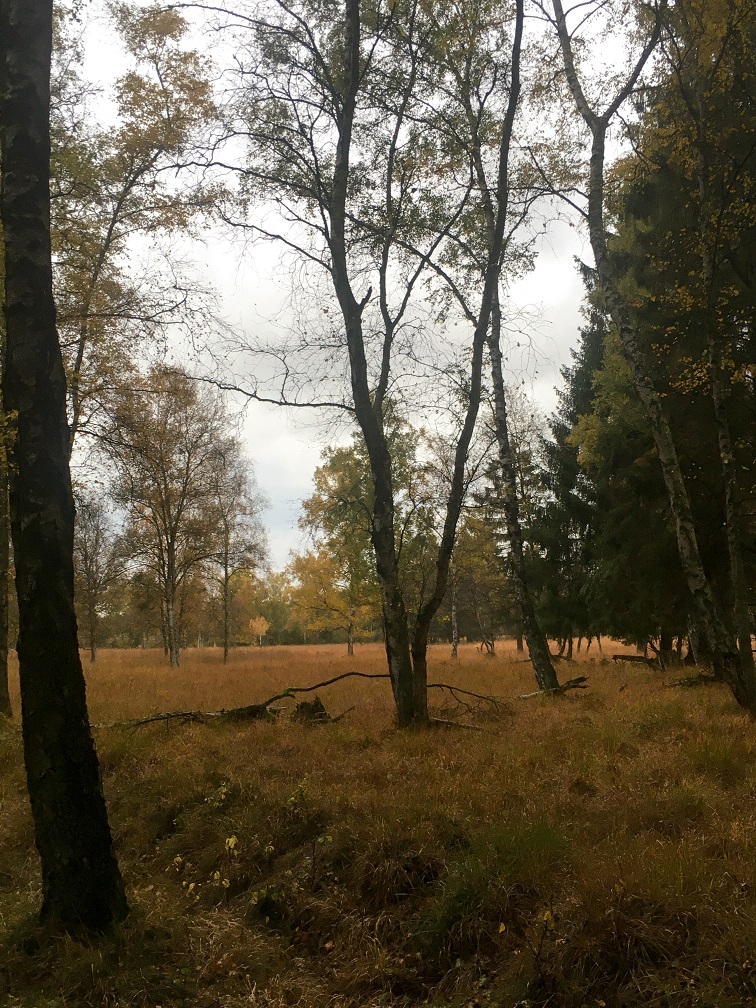 202010_DuvenstedterBrook