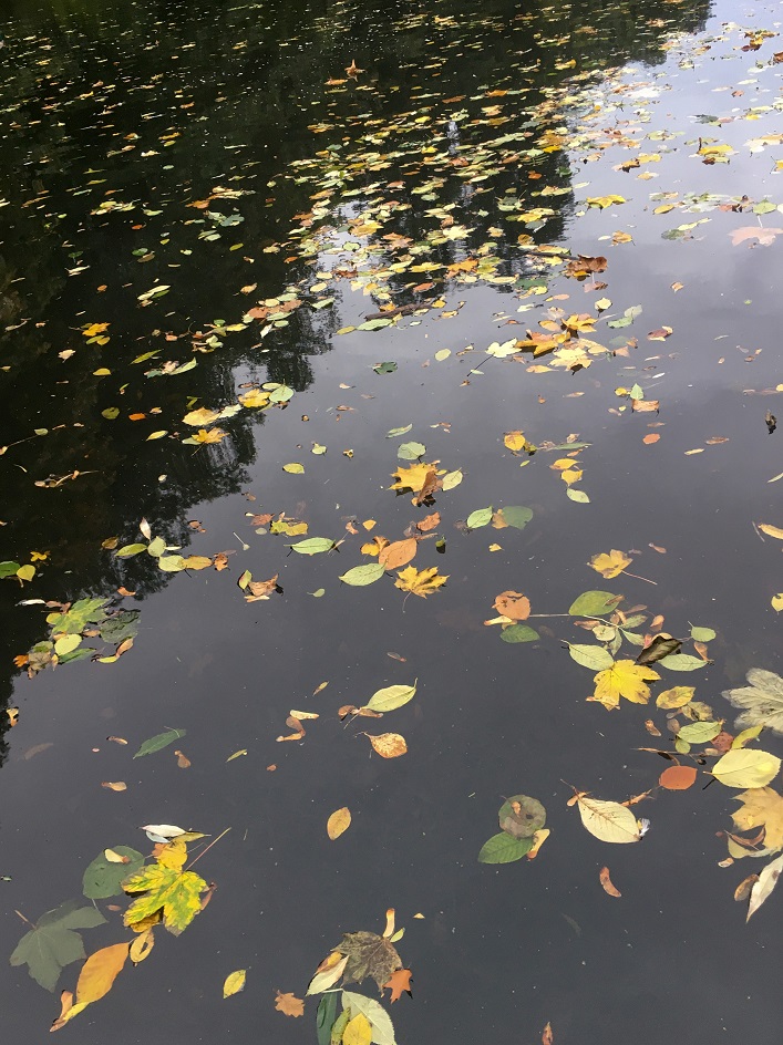 202010_Hamburg_Kaltehofe_1