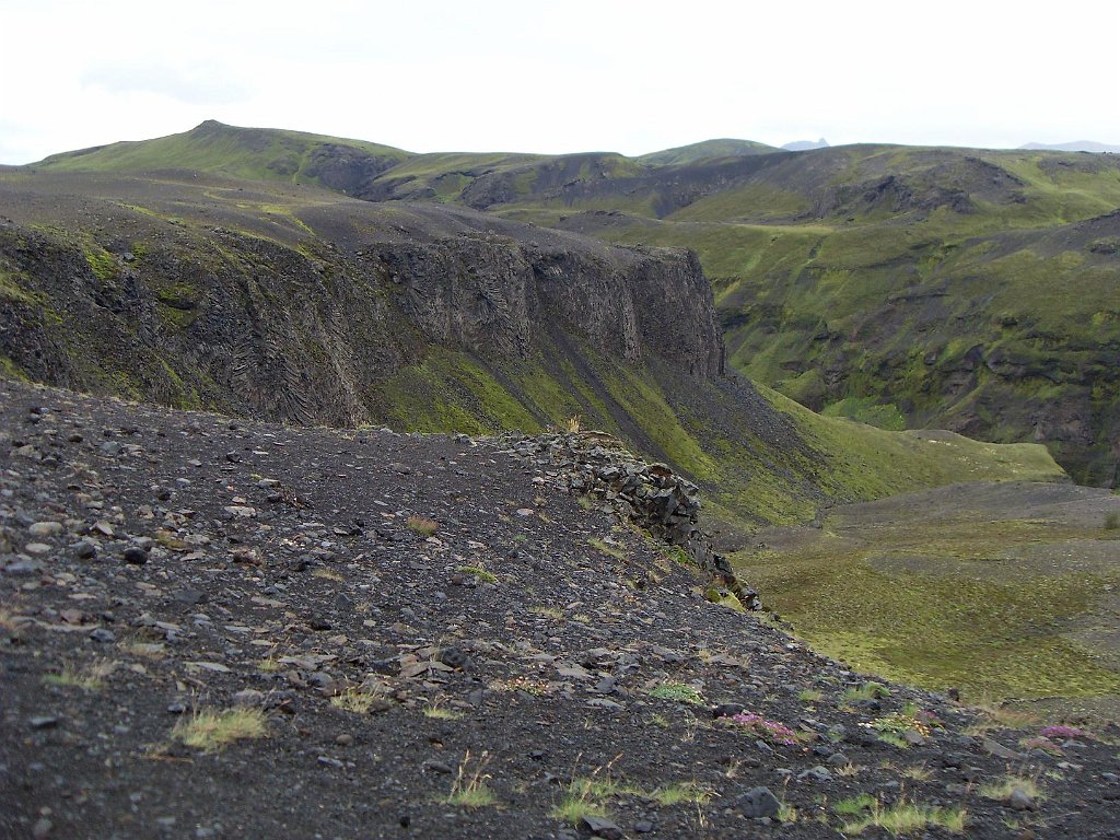 SDC10776