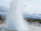 SDC10592.JPG
