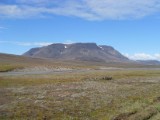 SDC10622.JPG