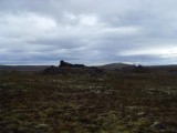 SDC10661.JPG