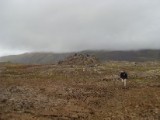 SDC10662.JPG
