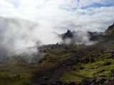SDC10730.JPG