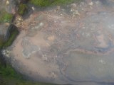 SDC10737.JPG