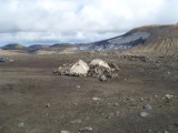SDC10752.JPG
